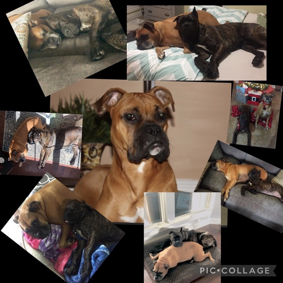 WELCOME TO MY CLOSET❤️THANK YOU FOR STOPPING BY - Picture 7 of 11